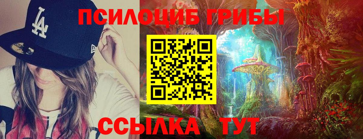 А ПВП Пушкино