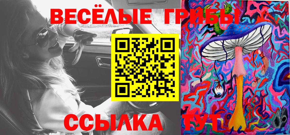 Пушкино  Галлюциногенные грибы ЛСД  Вход с VPN 