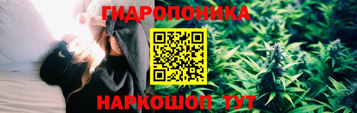 Каннабис AK-47 Пушкино